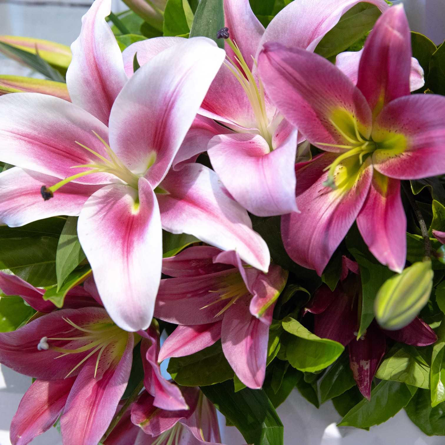 Gentle Heart – Lily Bouquet – close-up