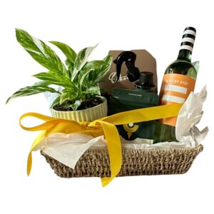 Raise a Glass plant & wine hamper by Flower Daise, Ferntree Gully florist