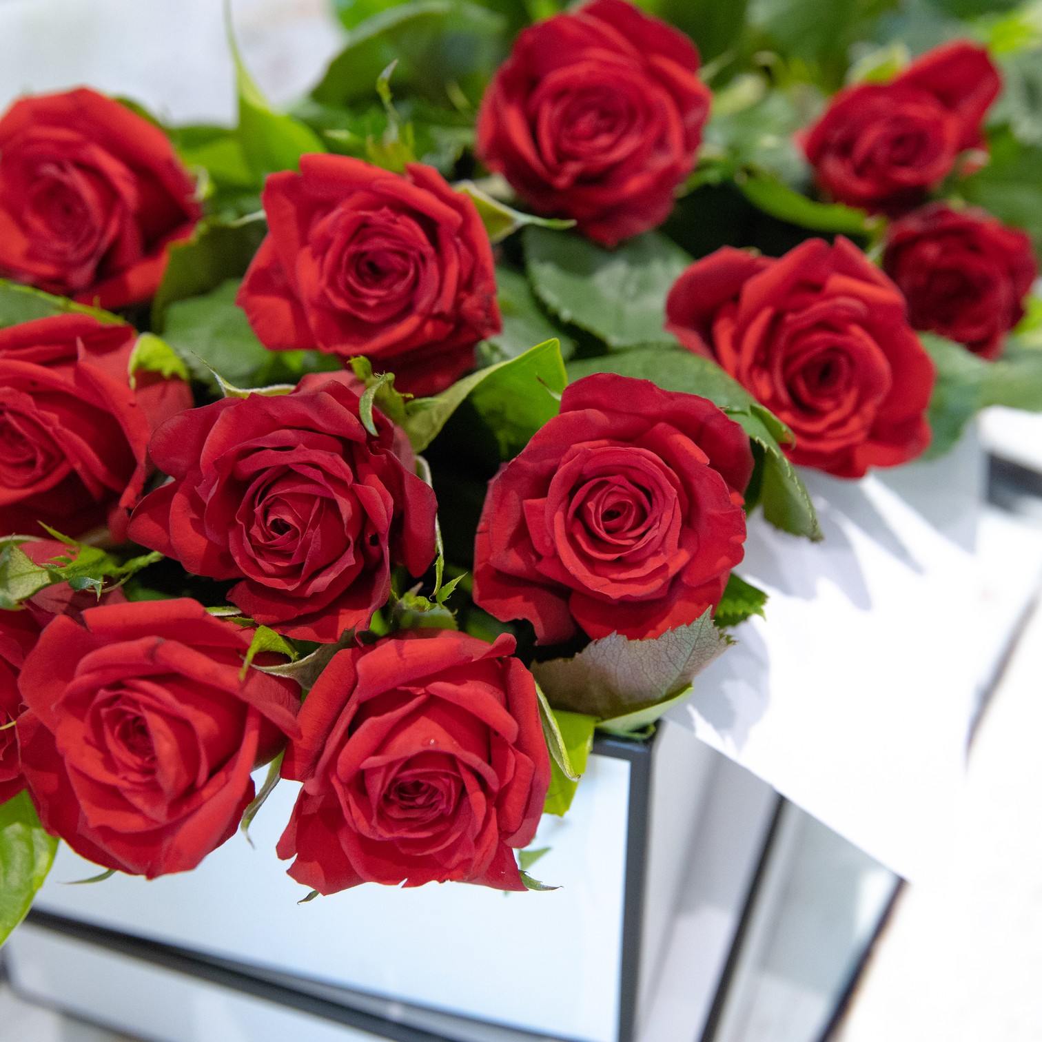 Crush – Rose Presentation Box – close-up