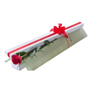 Only You single rose gift box by Flower Daise, Ferntree Gully florist