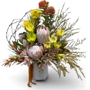 True Blue – Native Arrangement
