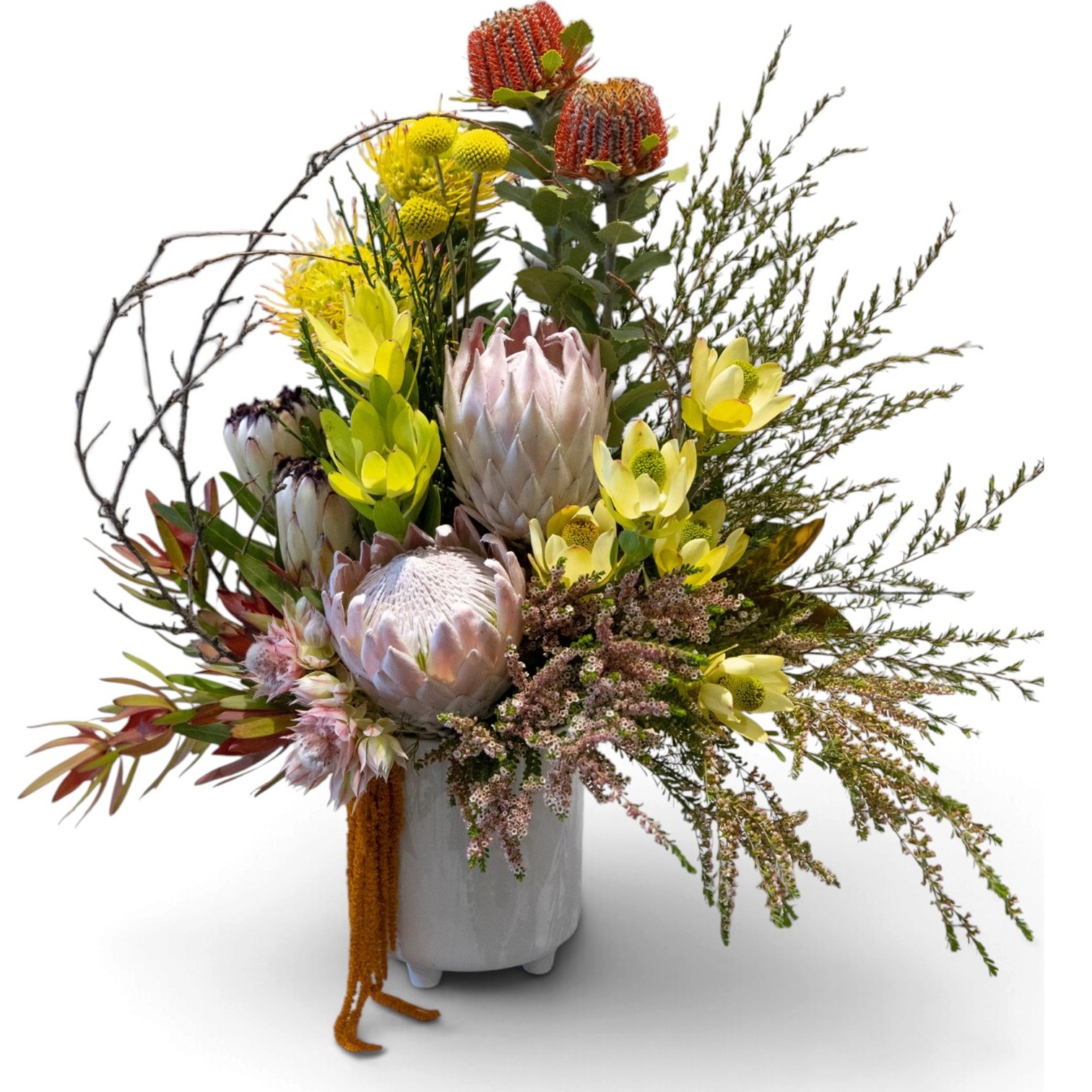 True Blue – Native Arrangement