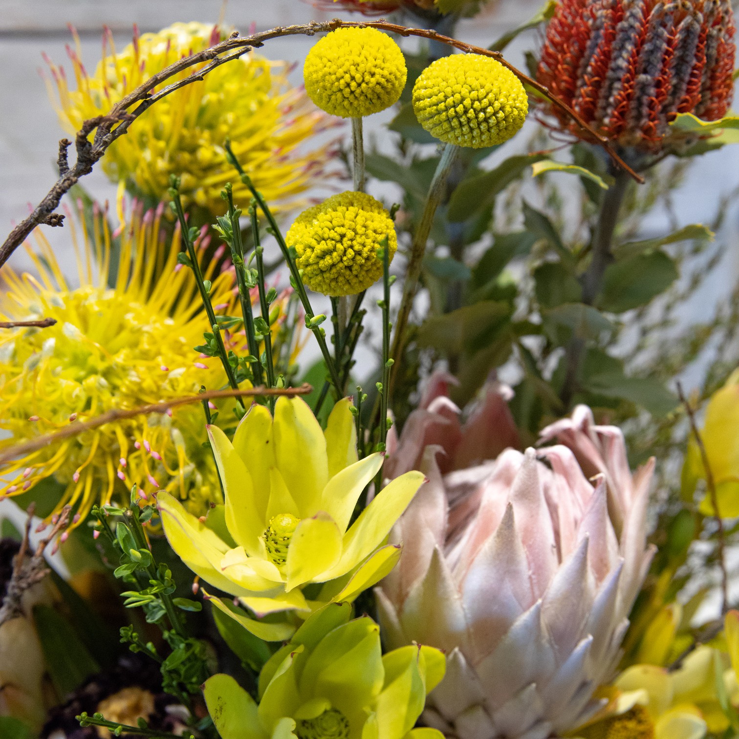 True Blue – Native Arrangement – close-up